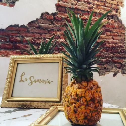 La Bella Samaria Hostel Boutique