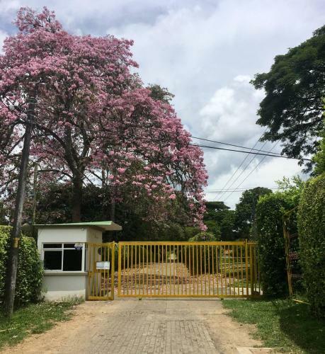 El Jard�n De Los Colibr�es - Pereira, Risaralda
