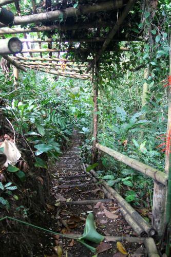 El Jard�n De Los Colibr�es - Pereira, Risaralda