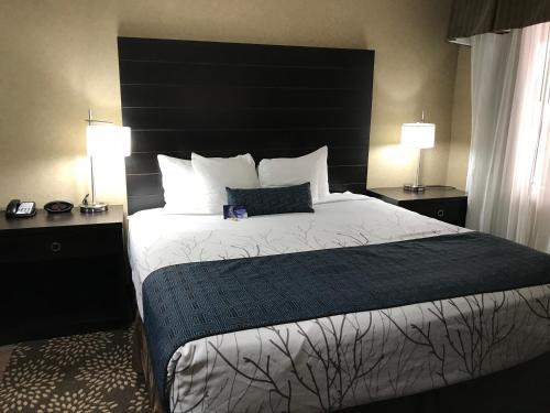 Hotel Best Western Inn & Suites Yuma