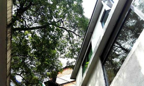 Hostal Lu Shu Homestay