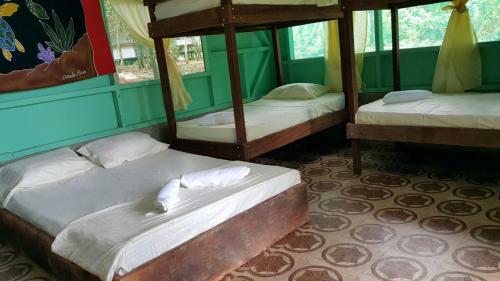 Hostal Life For Life Sea Tutle Drake