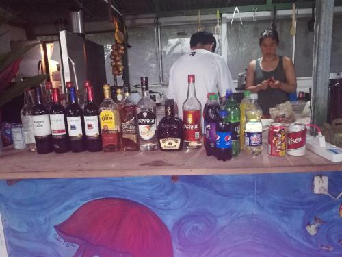 Hostal Life For Life Sea Tutle Drake