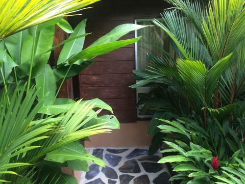 Mussaenda Hotel & Gardens