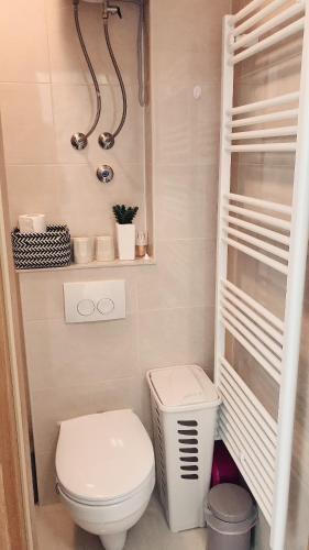 Studio Apartment Legcevic