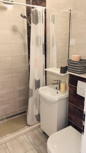 Studio Apartment Legcevic