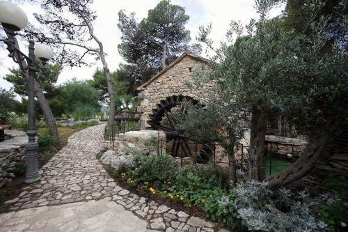 Dalmatian Star Homes