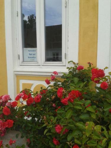 Belvedere B&B