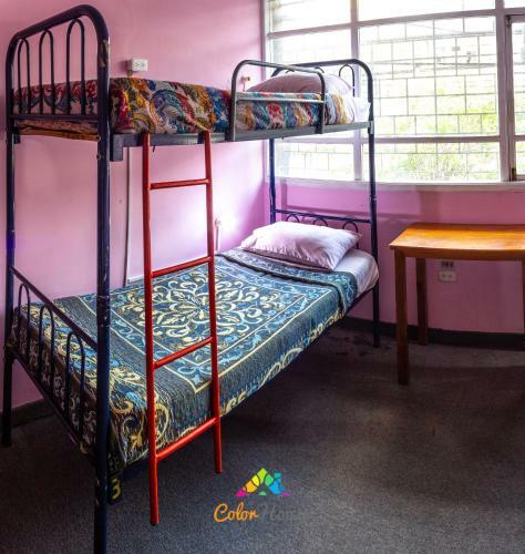 Hostal Color House Petitte
