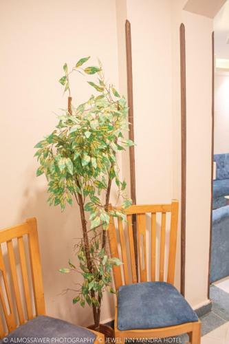 Jewel Mandara Apartments