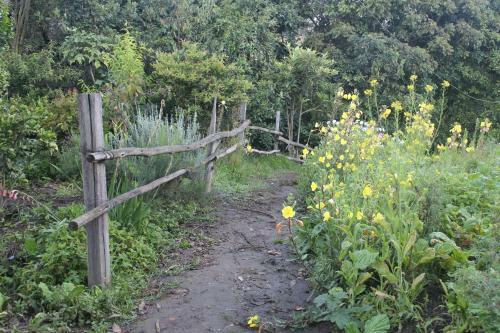 Bed & Breakfast Hostal Tio Cajas