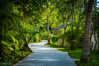 Hotel Paradise Island Resort & Spa