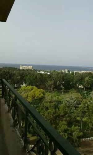 Mahdy Apartment