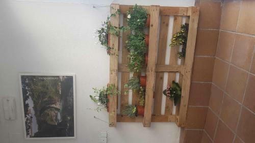 Apartamentos Tur�sticos La Golondrina