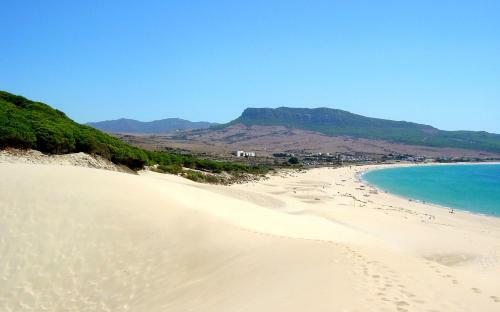 Home Vejer