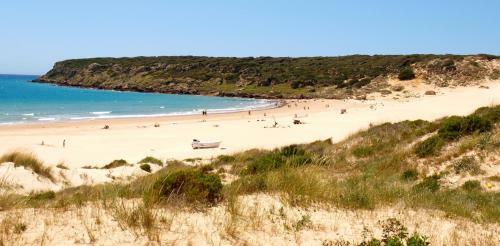 Home Vejer
