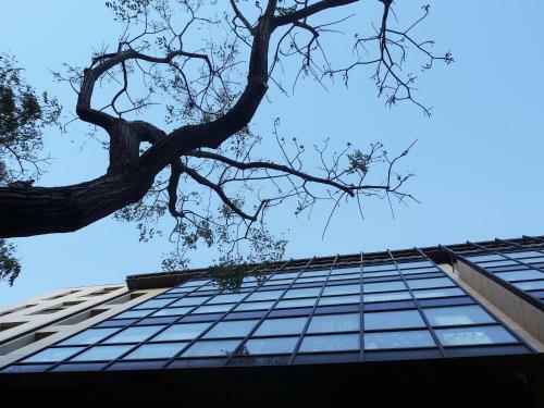 Apartamento Singularstays Guillem De Castro