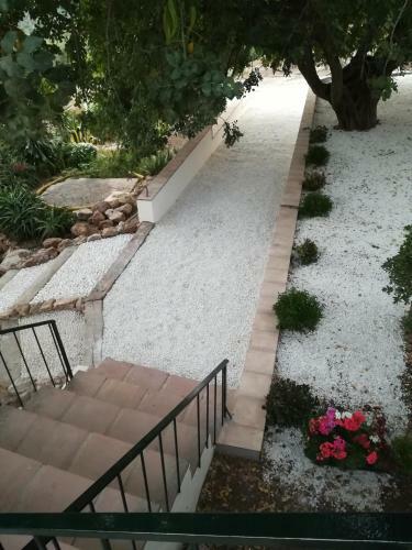 Hostal Olive Branch