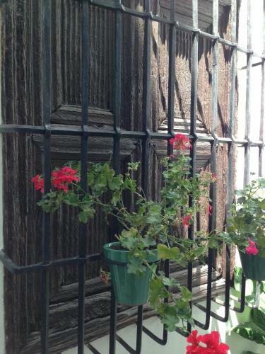 Apartamento La Casa De Almocita