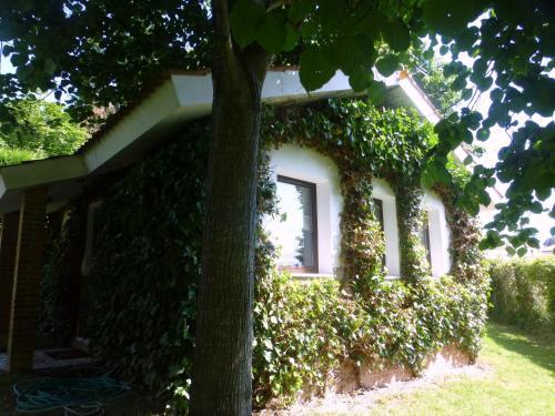 Agroturismo La Casina De Torra