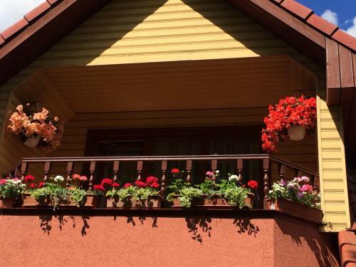Hostal Lana House
