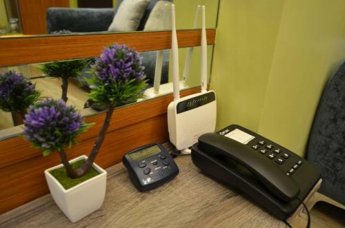 Apartamentos A Homey Place At Adriatico
