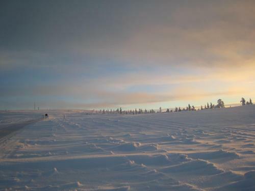 Saarisel�n Marjamajat