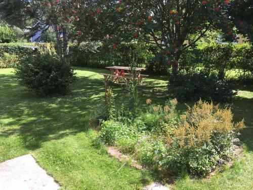 Lingonberry Cottage