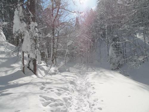 Chalet Monts Jura