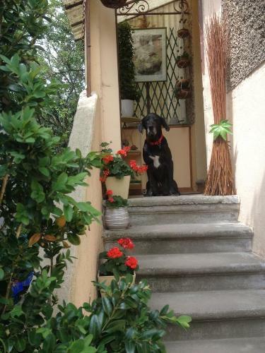 Bed & Breakfast Chambres D'h�tes Des 3 Rois