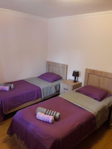 Hostal Guest House On Mirian Mepe