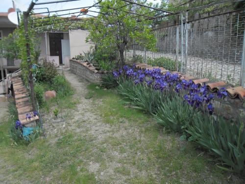 Hostal Luizastan