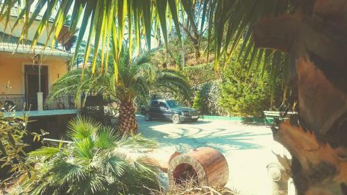 Hostal Guest House Lasha