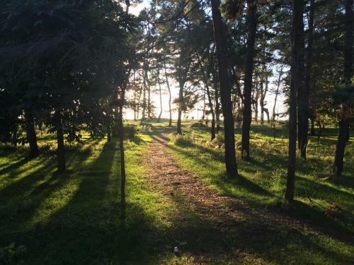 Apartamento Bsg Rustaveli 184