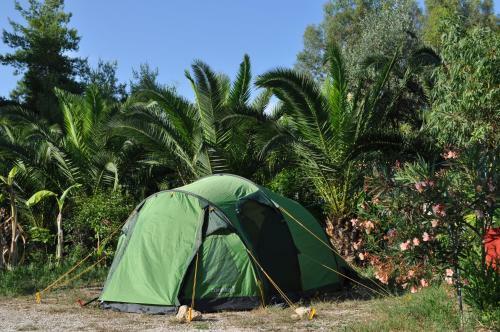 Argolic Strand Camping