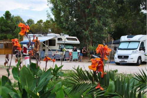 Argolic Strand Camping