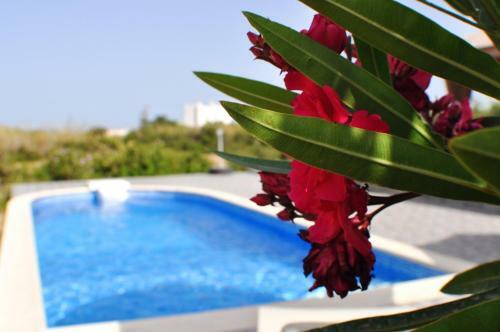Villa Ariadne House