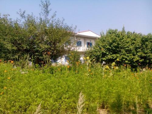 Hostal Guesthouse Karidia