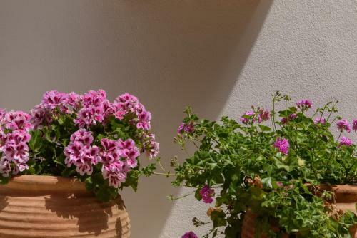 Apartamento Nikos Hotel