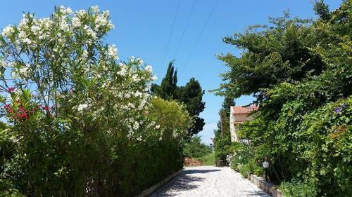 Alexandros Studios Apartments