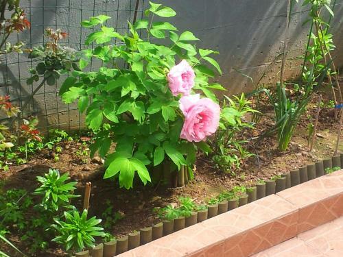 Apartamento Villa Anna