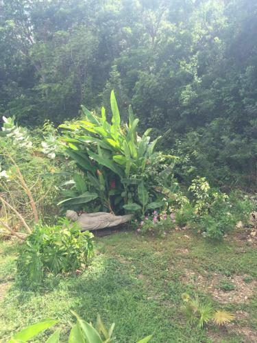 Les G�tes De Casita