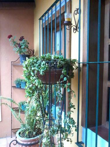 Posada Juma Ocag