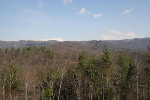 Ollie's Overlook