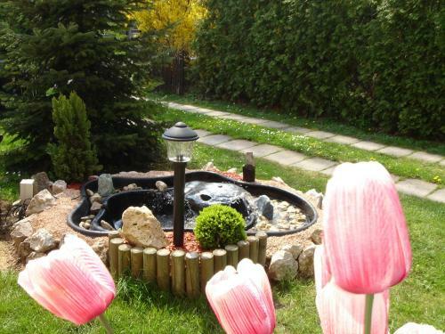 Apartamentos Villa M�nika