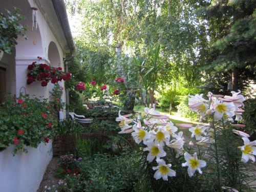 Apartamento Bozsoki Pihen?