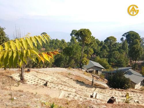 Villa V Resorts Queens Meadows Ranikhet