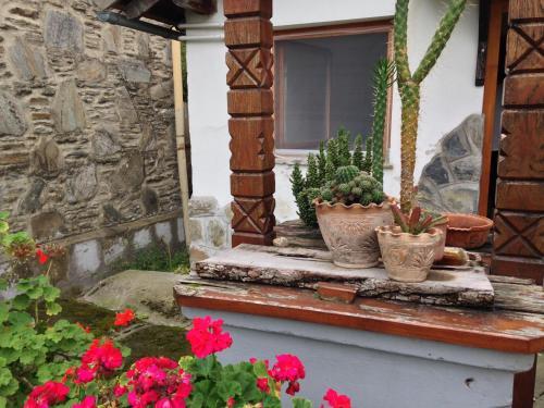 Petra Apartmanok