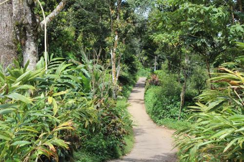 Agroturismo Tabernacle Plantation Thekkady
