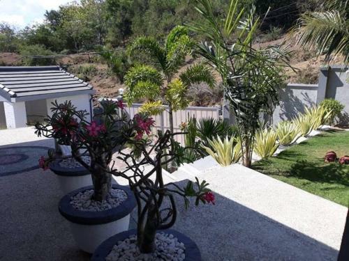 Hostal Lombok Hill Wiolett